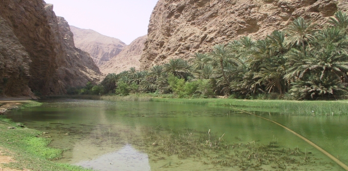 Oman &ndash; Sulle antiche vie carovaniere: un deserto dorato, fortezze, palazzi e mercati